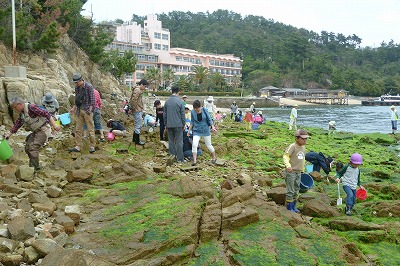 鷲羽山の下の大浜海岸に到着して、さあ観察