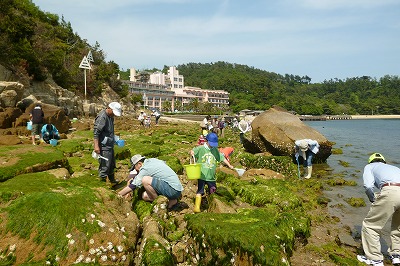 鷲羽山海岸で観察会