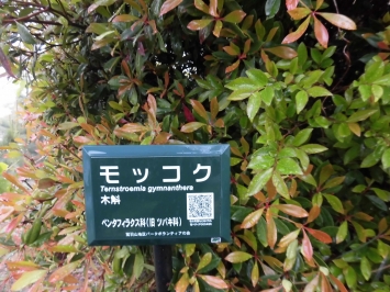 研究路にはＱＲコード付きの看板があちこちにある