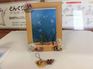 写真立ての中に海藻の絵葉書
