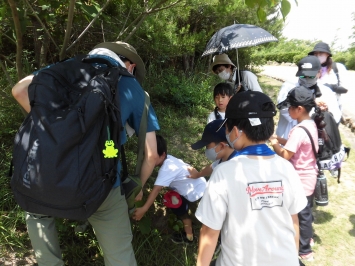子供たちは昆虫に夢中になっていた。