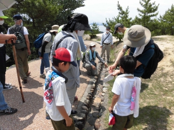 鷲羽山自然研究路で観察